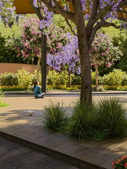 Amenities Image